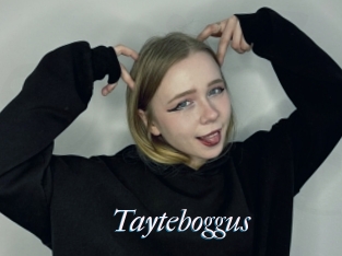 Tayteboggus