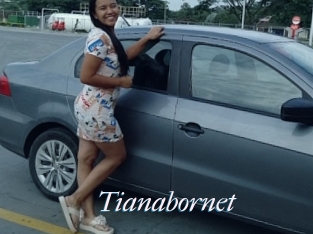 Tianabornet