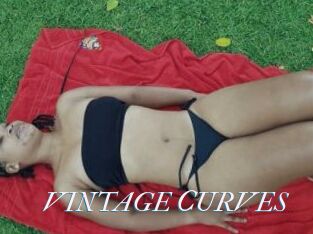 VINTAGE_CURVES