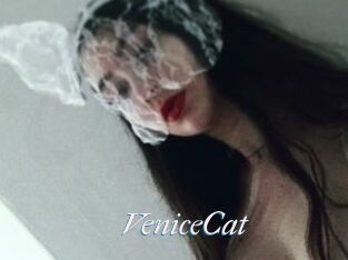 VeniceCat