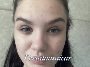 Vernitaasnicar