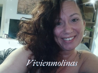 Vivienmolinas