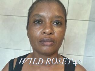 WILD_ROSEY40