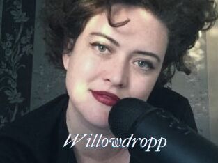 Willowdropp