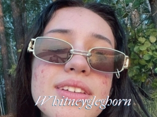 Whitneygleghorn