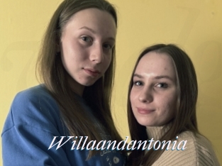 Willaandantonia