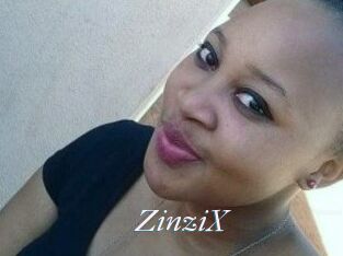 ZinziX