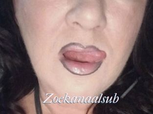 Zoekanaalsub